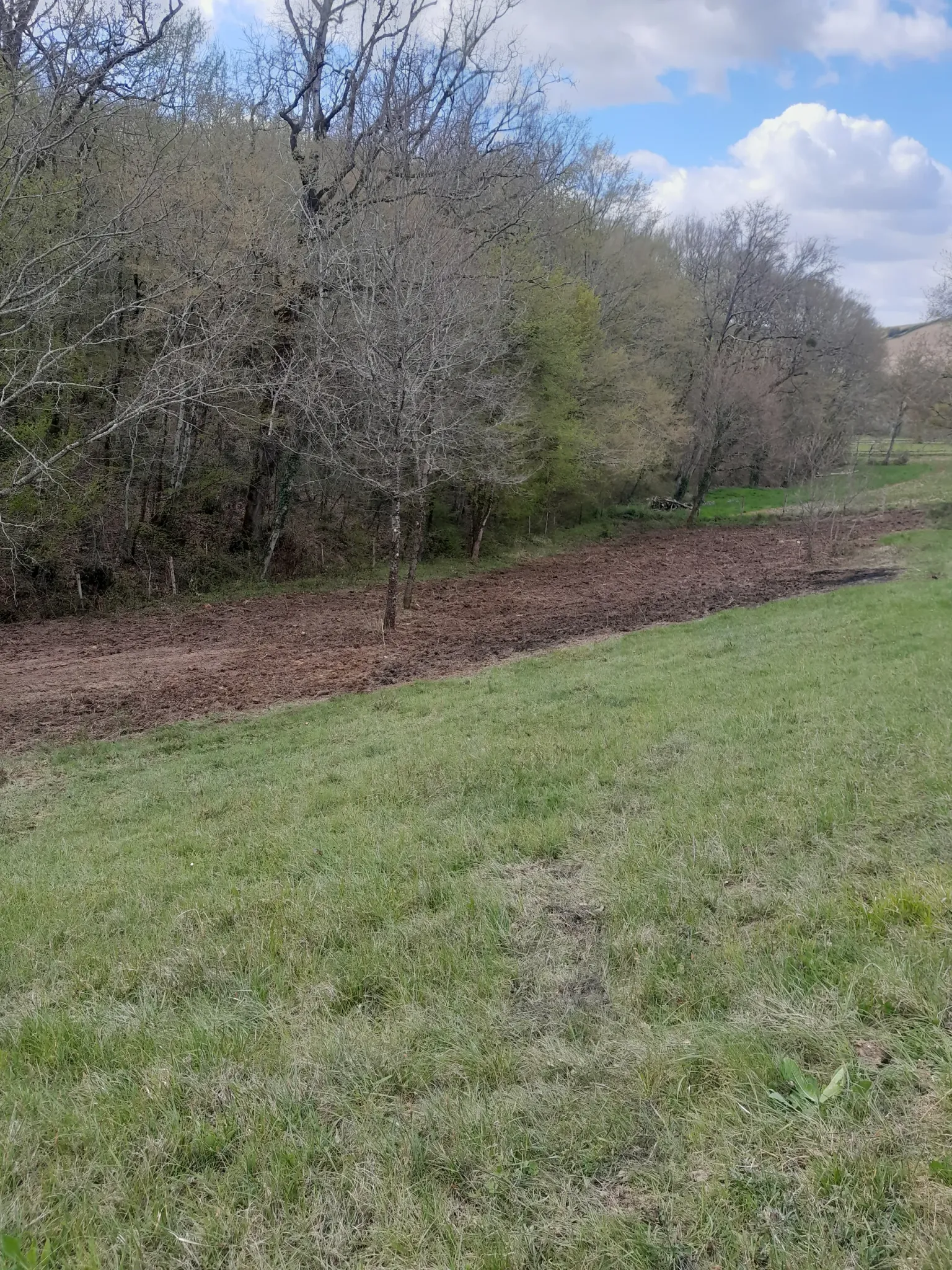 Débroussaillage à Bondigoux : après travaux